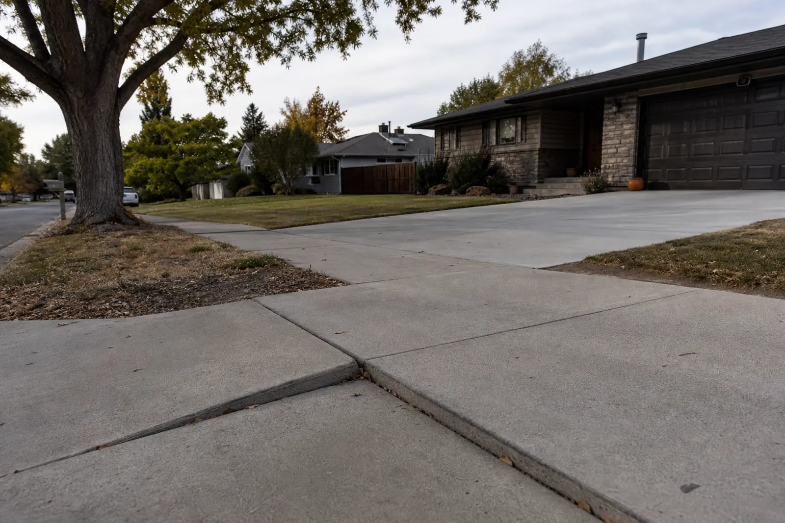 Tree-lined residential street with a sidewalk panel that has dropped